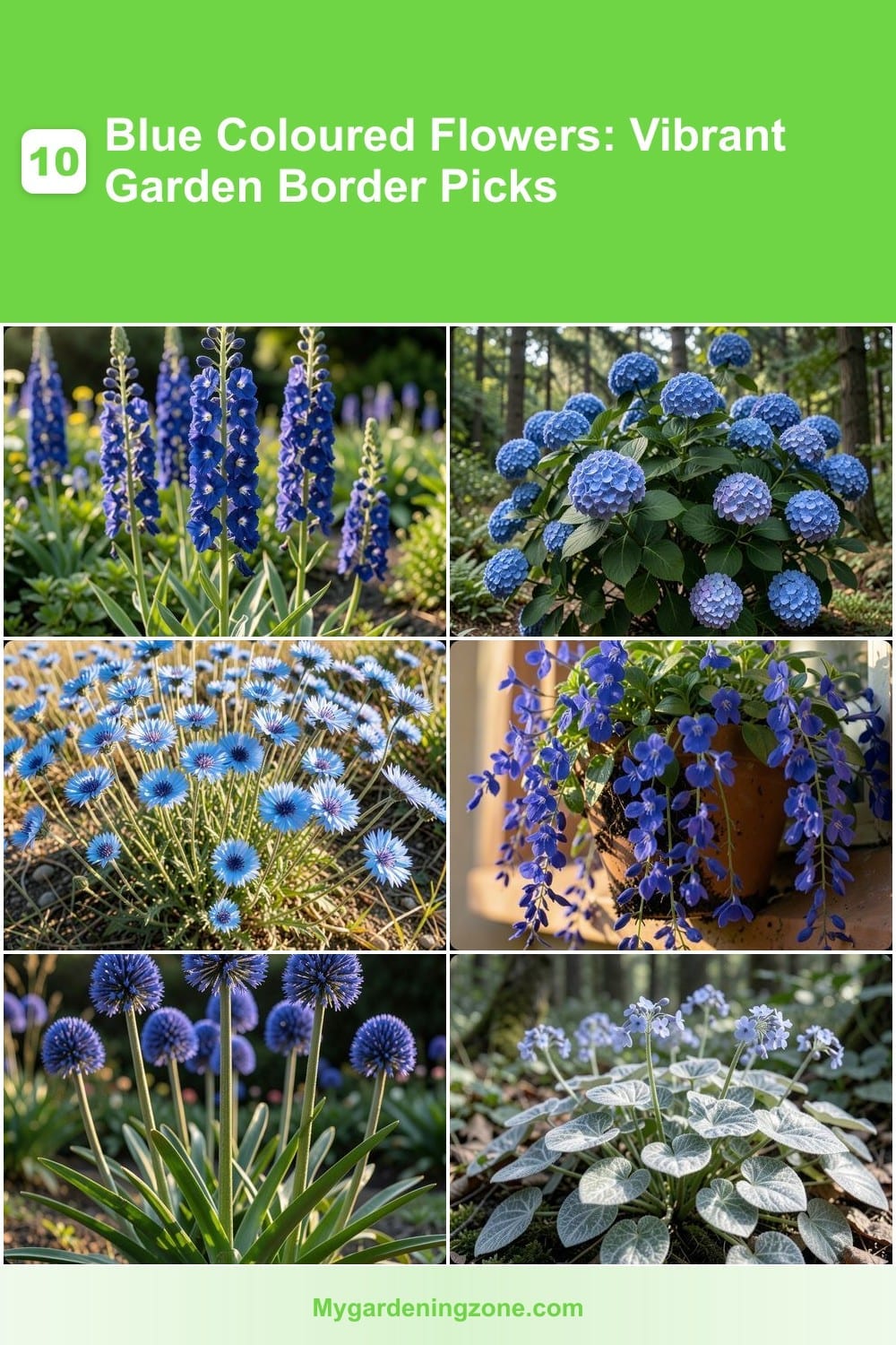 10 Blue Coloured Flowers: Vibrant Garden Border Picks
