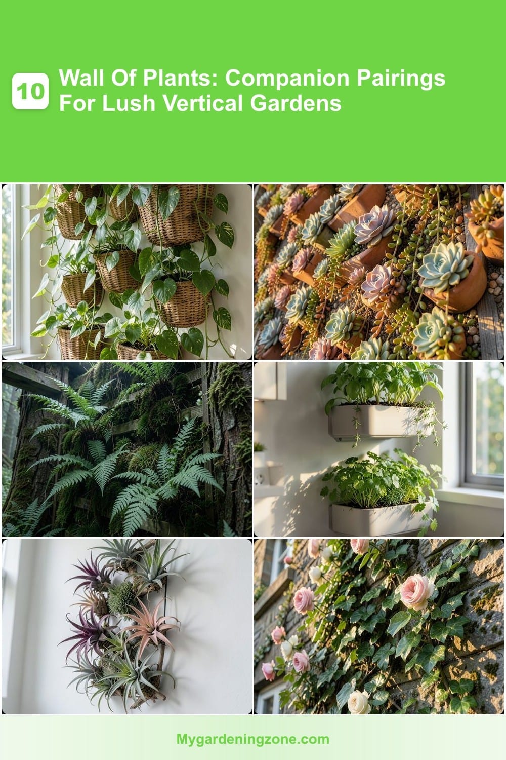 10 Wall Of Plants: Companion Pairings For Lush Vertical Gardens 10 Wall Of Plants: Companion Pairings For Lush Vertical Gardens