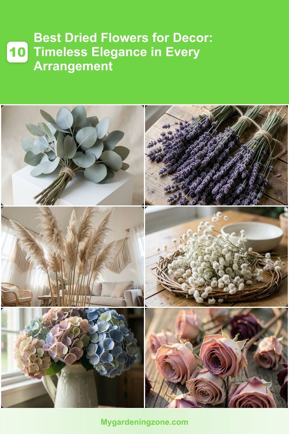 10 Best Dried Flowers for Decor: Timeless Elegance in Every Arrangement 10 Best Dried Flowers for Decor: Timeless Elegance in Every Arrangement