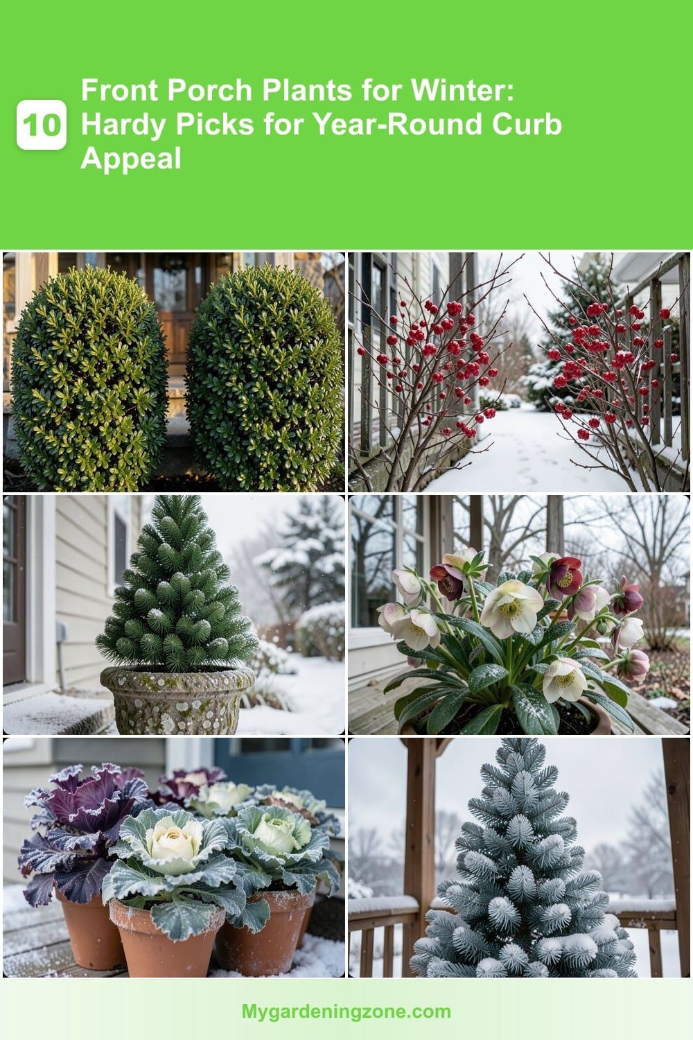 10 Front Porch Plants for Winter: Hardy Picks for Year-Round Curb Appeal 10 Front Porch Plants for Winter: Hardy Picks for Year-Round Curb Appeal