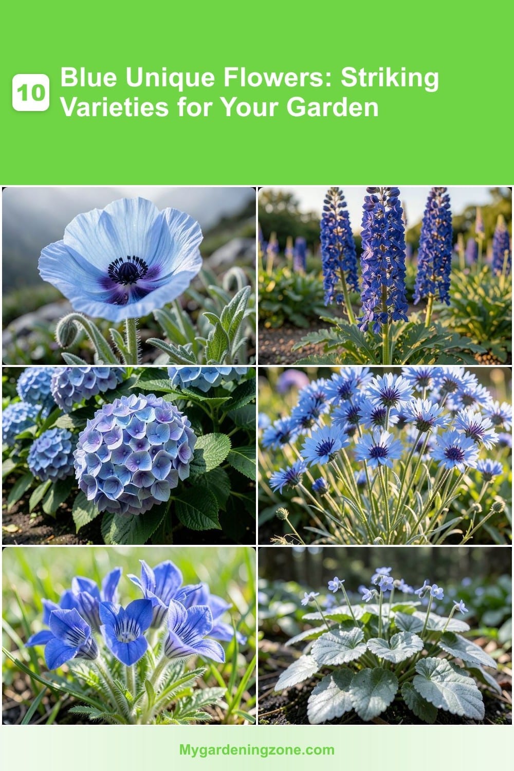 10 Blue Unique Flowers: Striking Varieties for Your Garden 10 Blue Unique Flowers: Striking Varieties for Your Garden