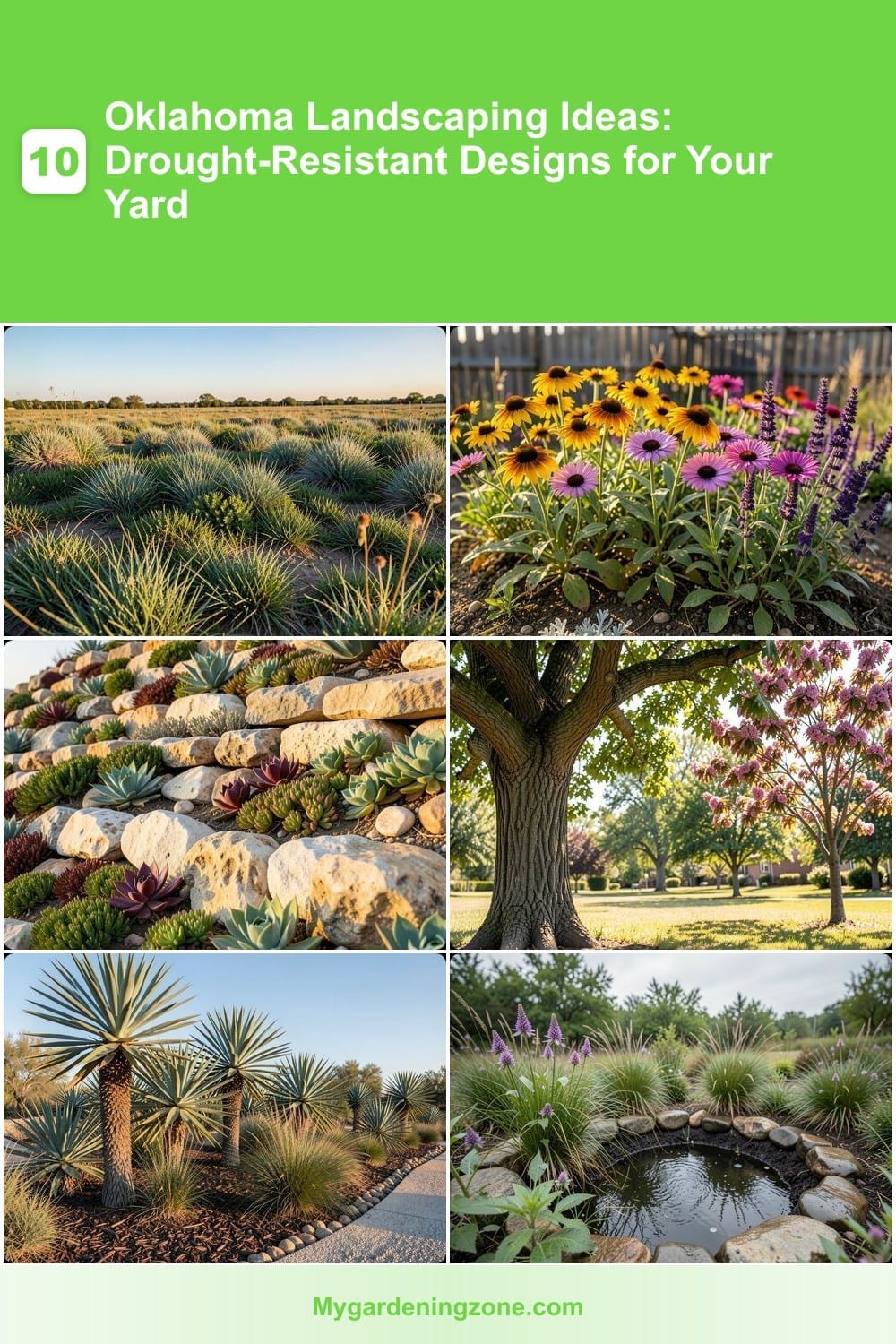 10 Oklahoma Landscaping Ideas: Drought-Resistant Designs for Your Yard 10 Oklahoma Landscaping Ideas: Drought-Resistant Designs for Your Yard