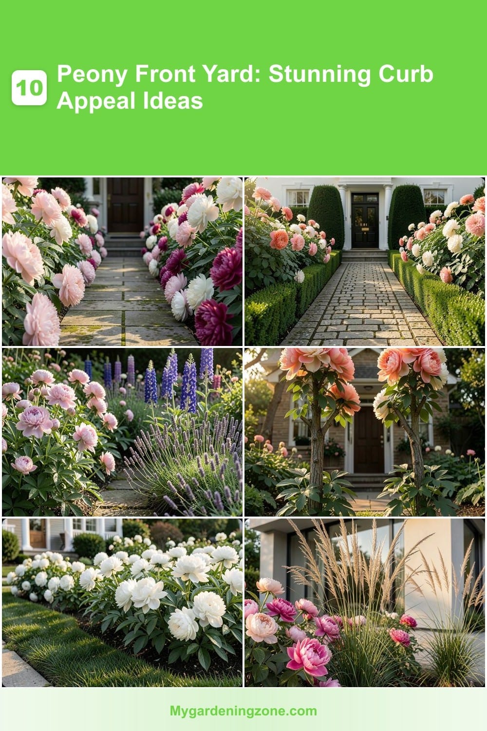 10 Peony Front Yard: Stunning Curb Appeal Ideas