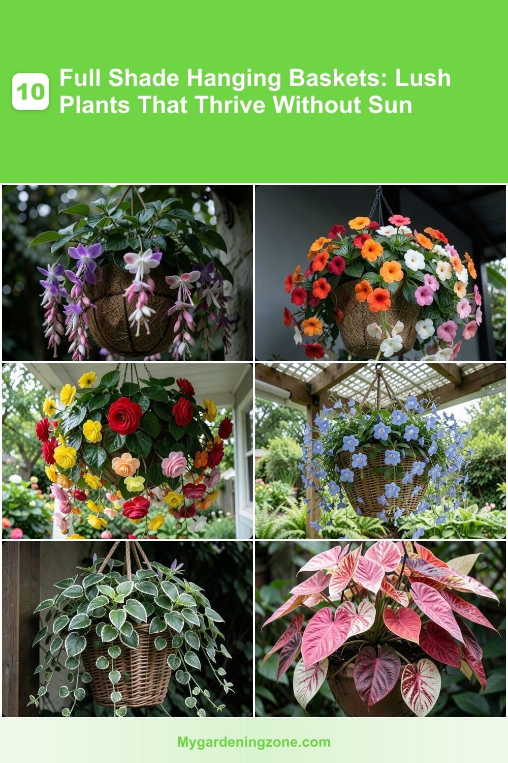 10 Full Shade Hanging Baskets: Lush Plants That Thrive Without Sun 10 Full Shade Hanging Baskets: Lush Plants That Thrive Without Sun