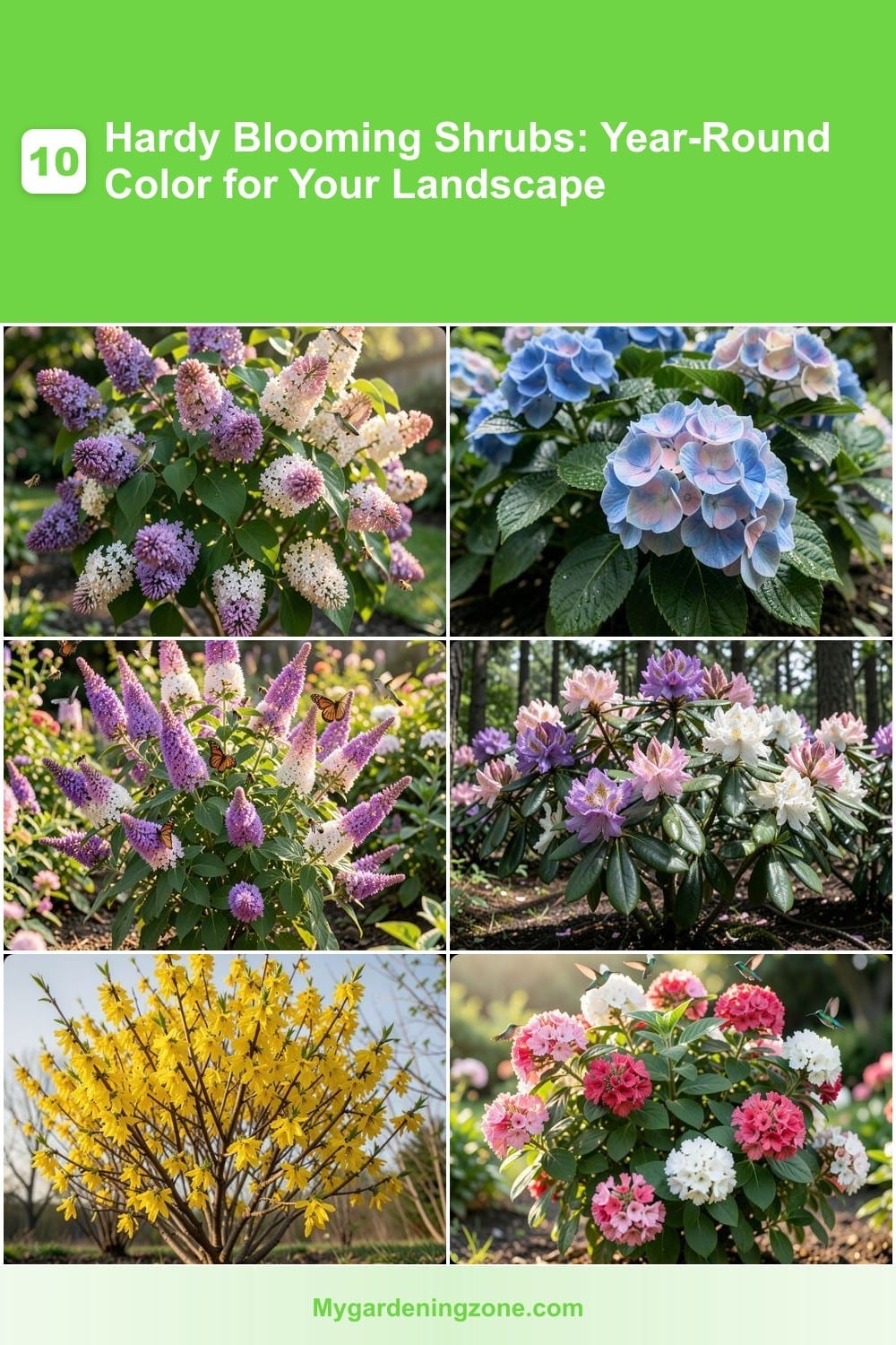 10 Hardy Blooming Shrubs: Year-Round Color for Your Landscape 10 Hardy Blooming Shrubs: Year-Round Color for Your Landscape