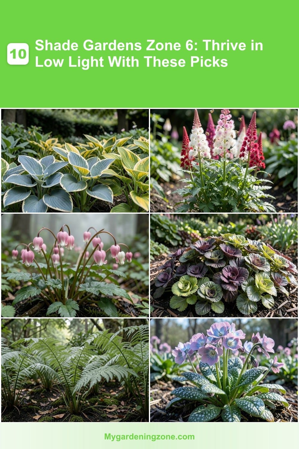 10 Shade Gardens Zone 6: Thrive in Low Light With These Picks 10 Shade Gardens Zone 6: Thrive in Low Light With These Picks