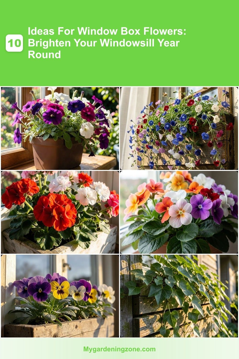 10 Ideas For Window Box Flowers: Brighten Your Windowsill Year Round 10 Ideas For Window Box Flowers: Brighten Your Windowsill Year Round