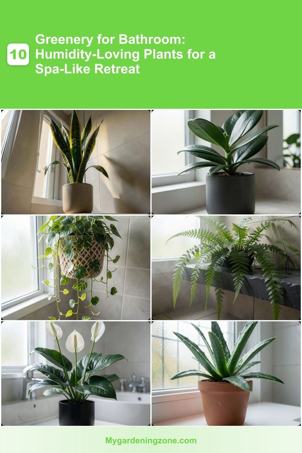 10 Greenery for Bathroom: Humidity-Loving Plants for a Spa-Like Retreat 10 Greenery for Bathroom: Humidity-Loving Plants for a Spa-Like Retreat