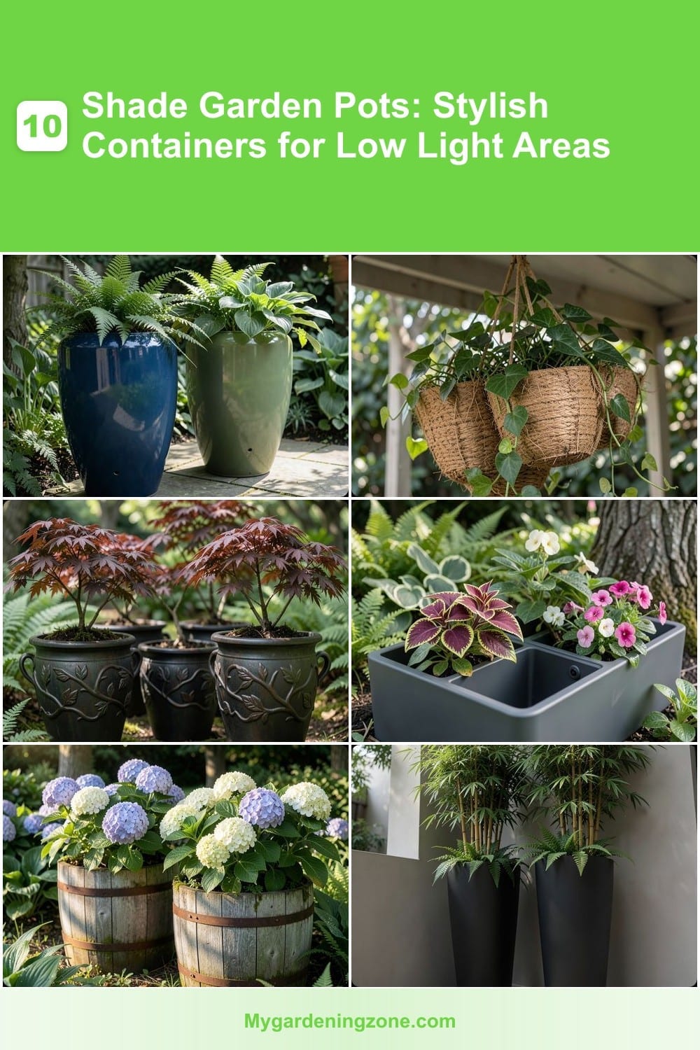 10 Shade Garden Pots: Stylish Containers for Low Light Areas 10 Shade Garden Pots: Stylish Containers for Low Light Areas
