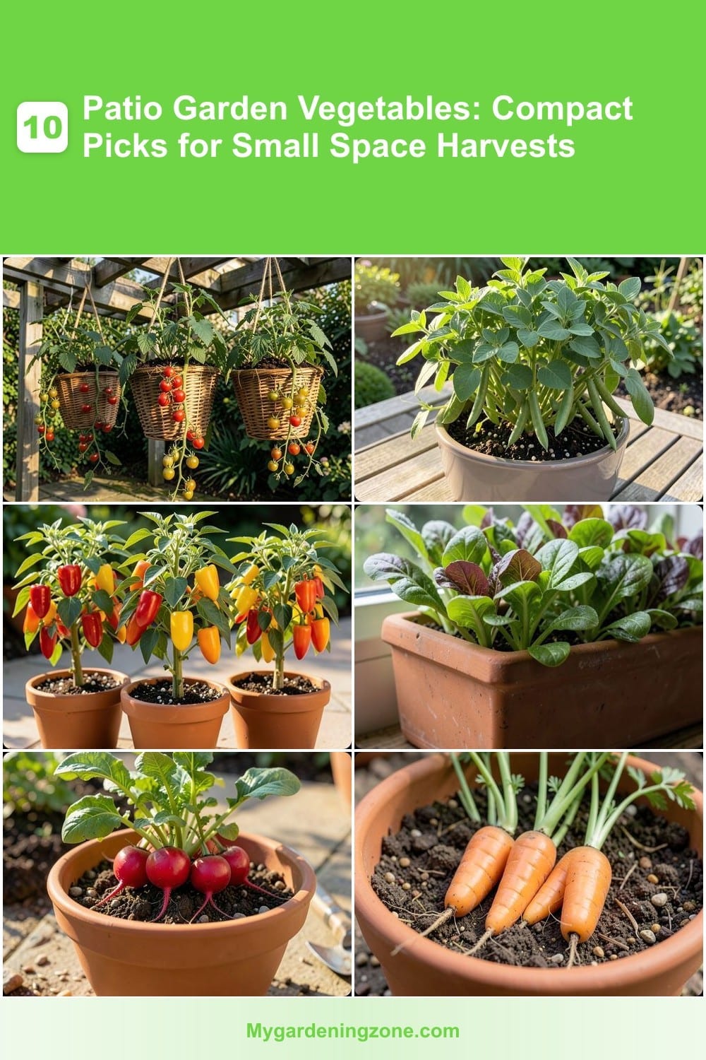 10 Patio Garden Vegetables: Compact Picks for Small Space Harvests 10 Patio Garden Vegetables: Compact Picks for Small Space Harvests