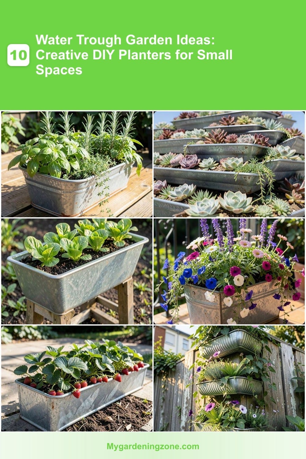 10 Water Trough Garden Ideas: Creative DIY Planters for Small Spaces