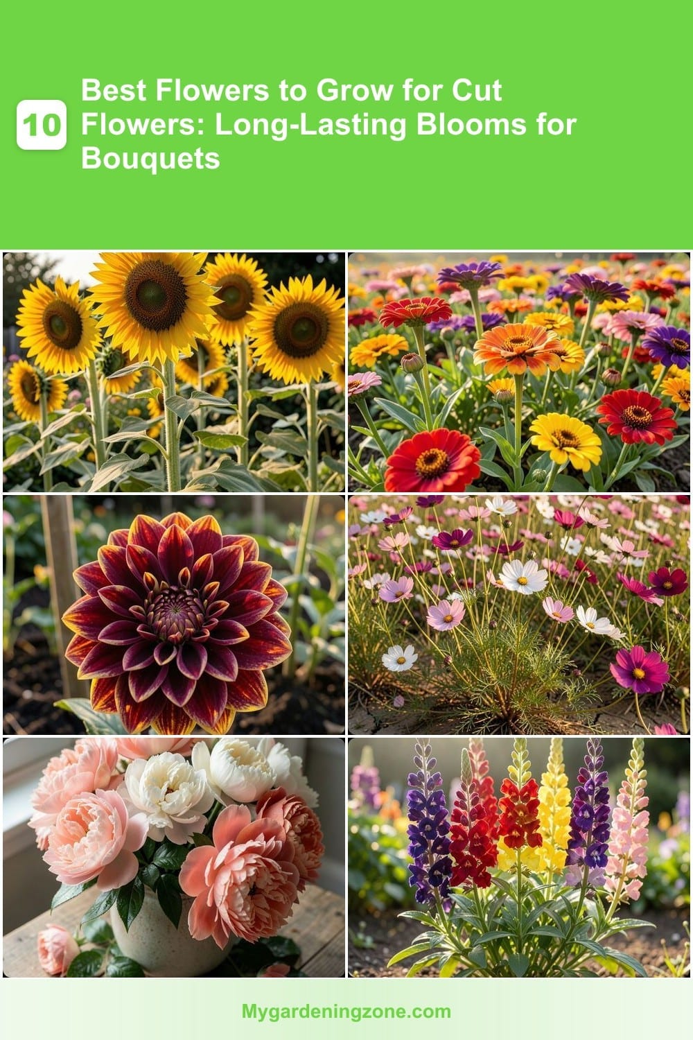 10 Best Flowers to Grow for Cut Flowers: Long-Lasting Blooms for Bouquets