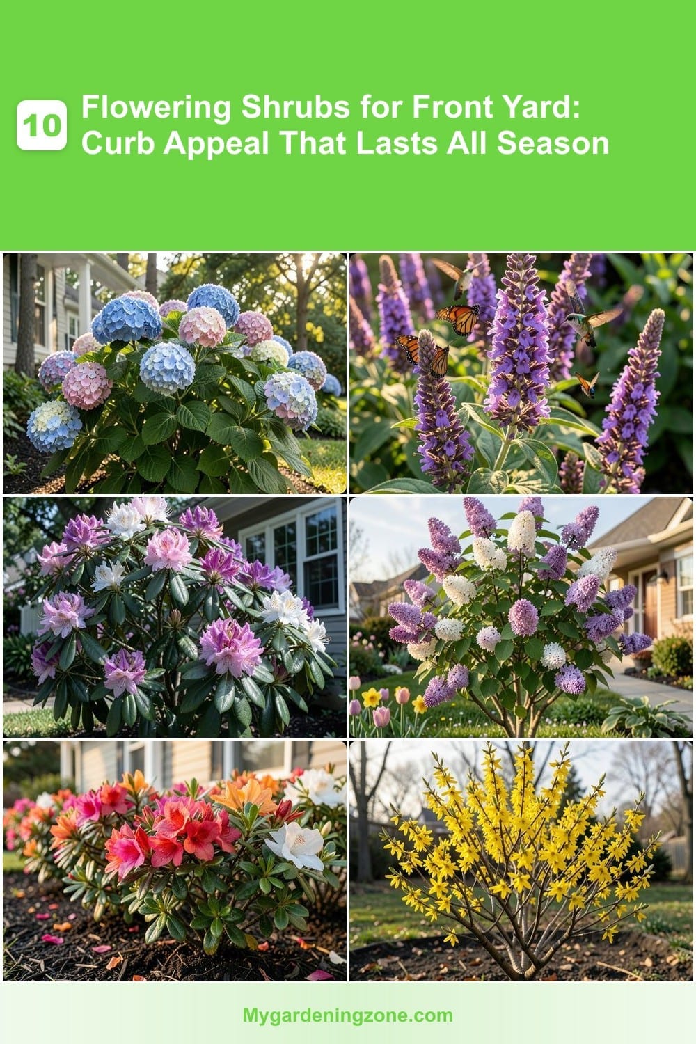 10 Flowering Shrubs for Front Yard: Curb Appeal That Lasts All Season 10 Flowering Shrubs for Front Yard: Curb Appeal That Lasts All Season
