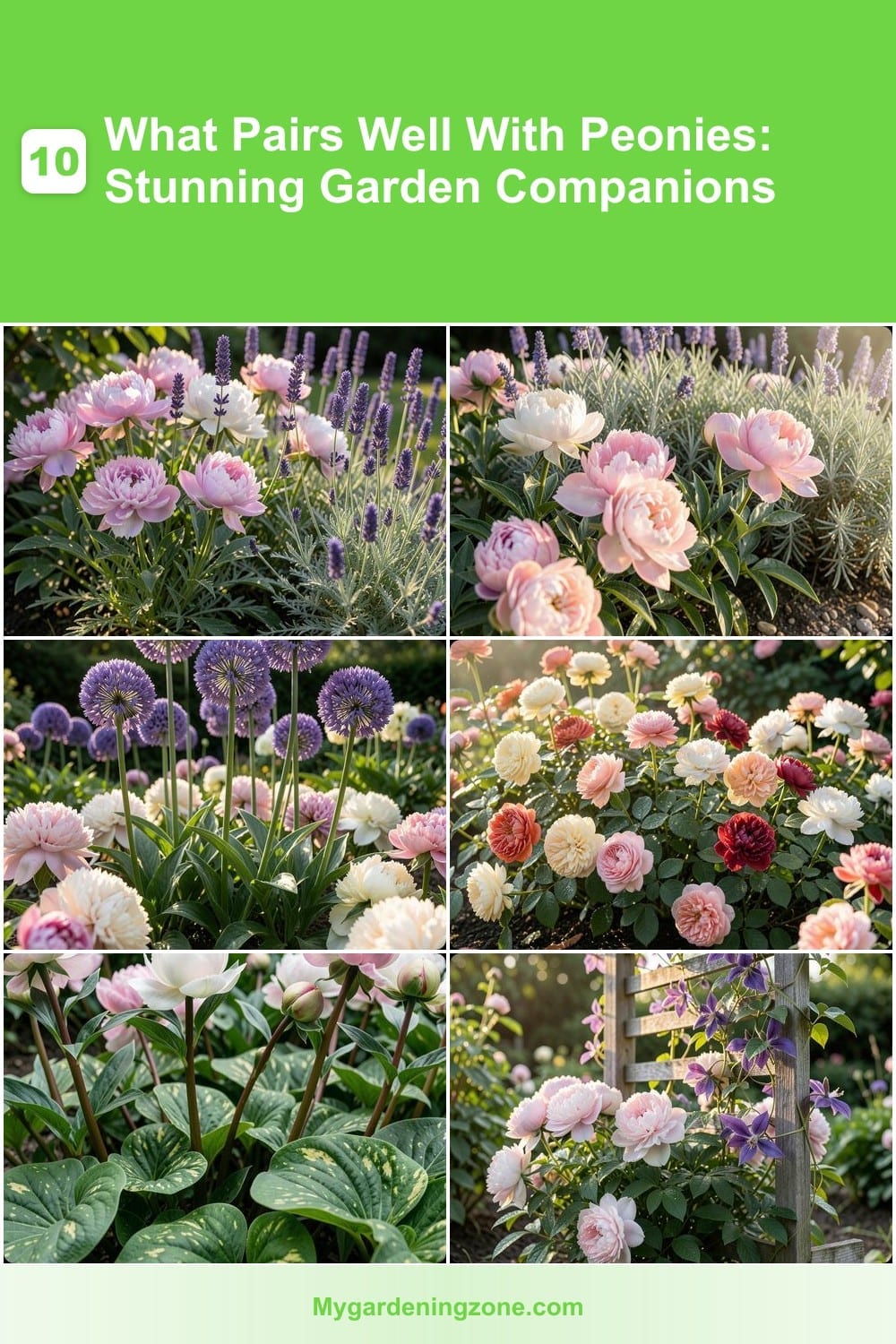 10 What Pairs Well With Peonies: Stunning Garden Companions 10 What Pairs Well With Peonies: Stunning Garden Companions