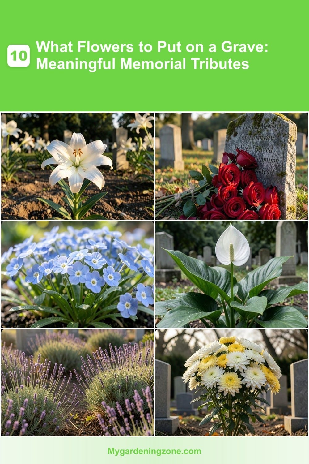 10 What Flowers to Put on a Grave: Meaningful Memorial Tributes 10 What Flowers to Put on a Grave: Meaningful Memorial Tributes