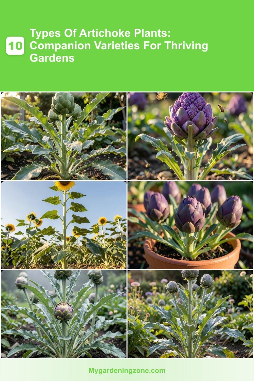 10 Types Of Artichoke Plants: Companion Varieties For Thriving Gardens