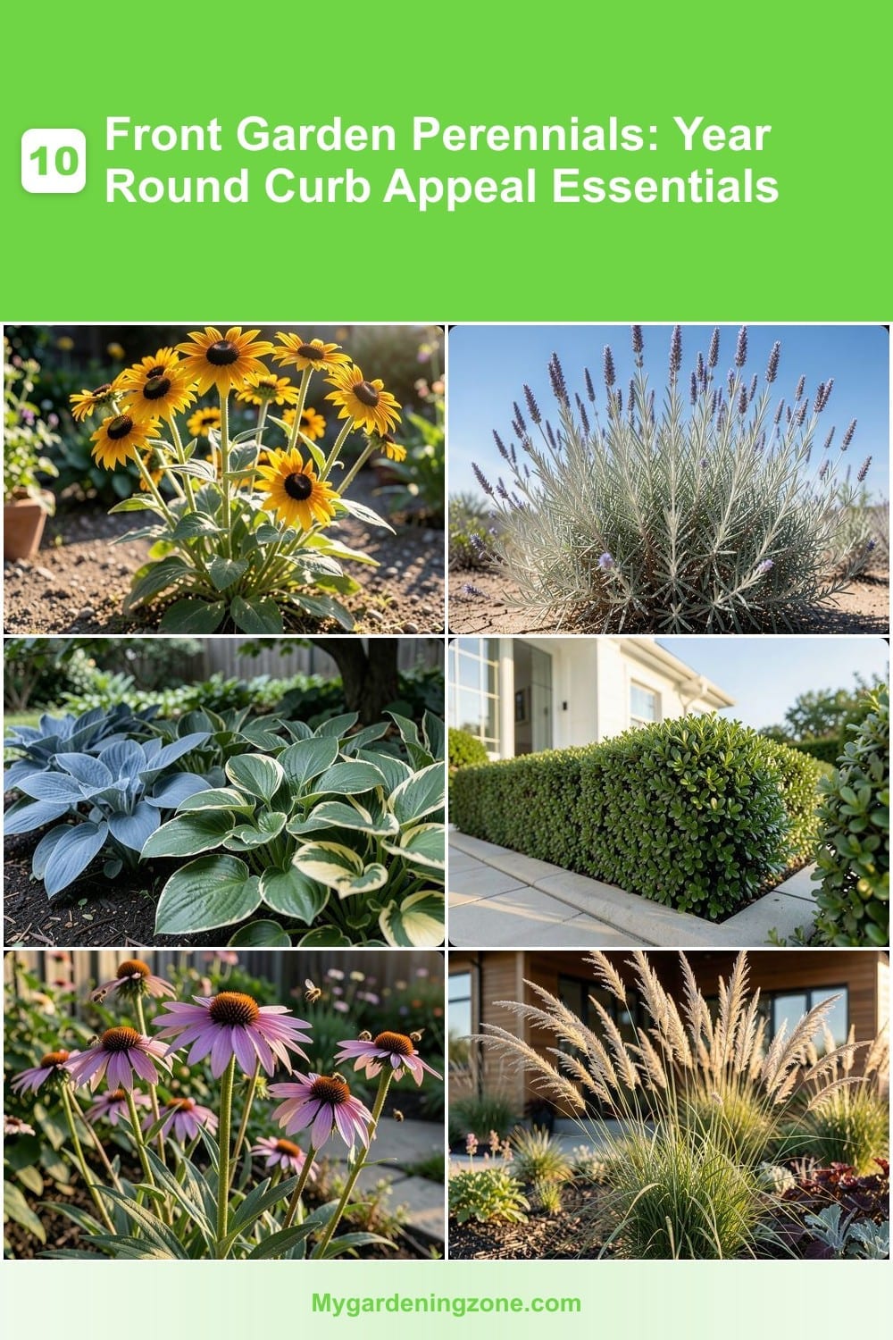 10 Front Garden Perennials: Year Round Curb Appeal Essentials 10 Front Garden Perennials: Year Round Curb Appeal Essentials