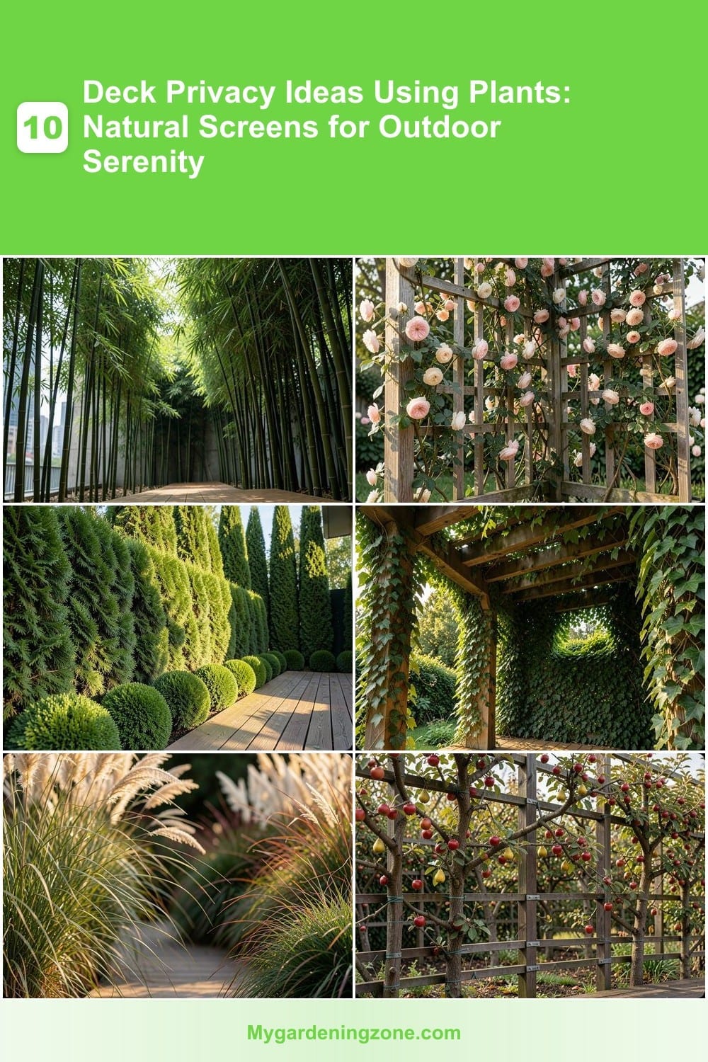 10 Deck Privacy Ideas Using Plants: Natural Screens for Outdoor Serenity
