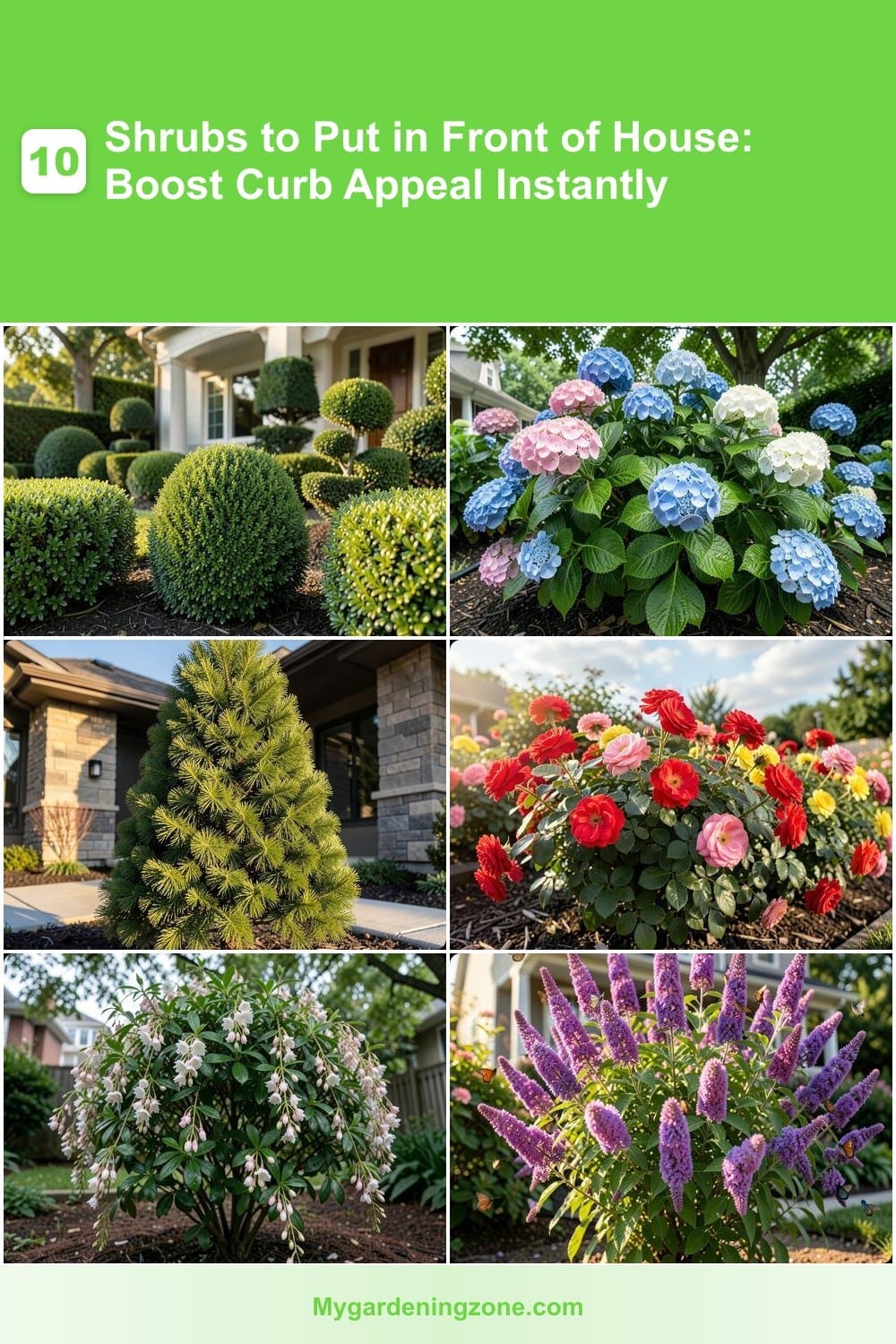 10 Shrubs to Put in Front of House: Boost Curb Appeal Instantly 10 Shrubs to Put in Front of House: Boost Curb Appeal Instantly