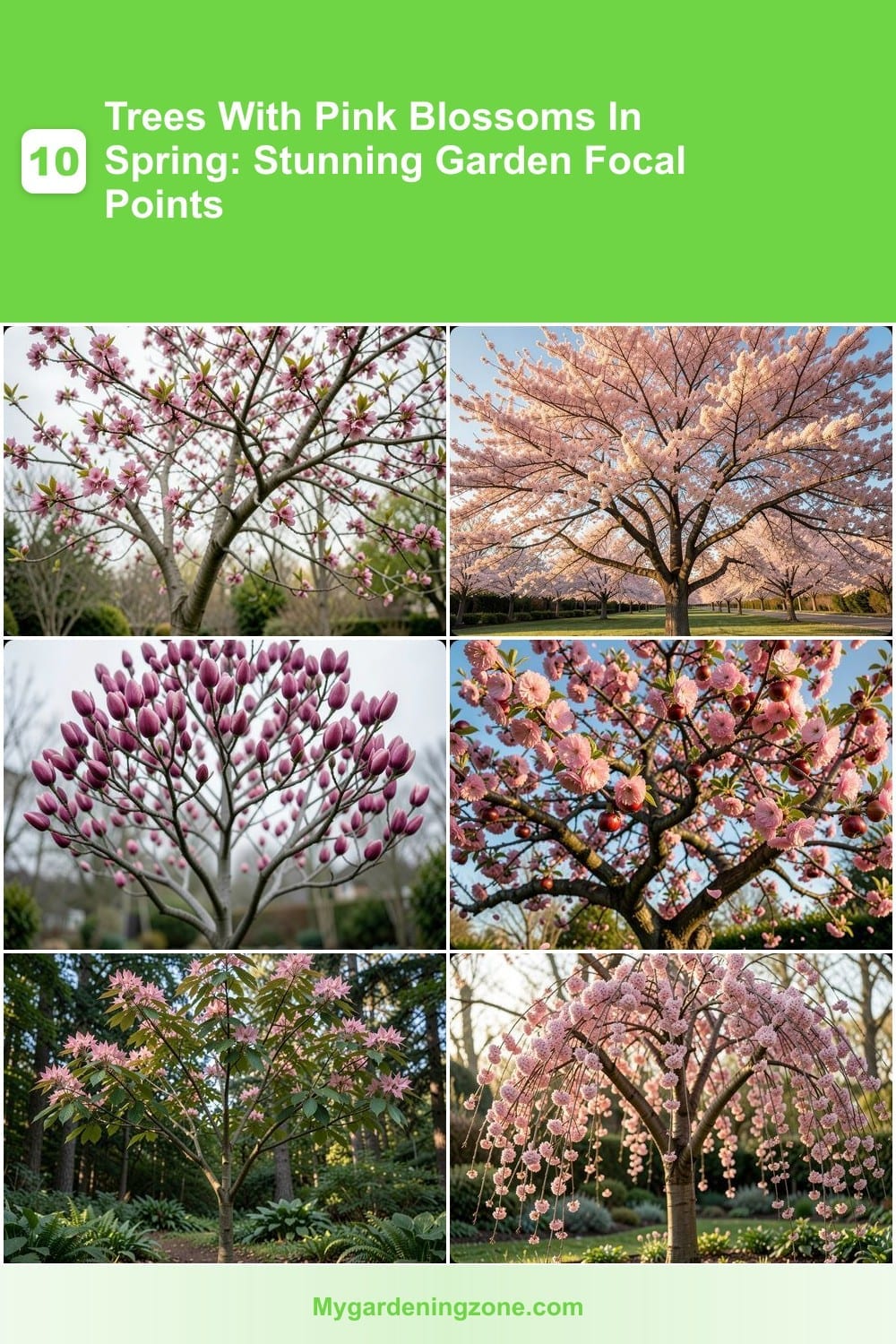 10 Trees With Pink Blossoms In Spring: Stunning Garden Focal Points