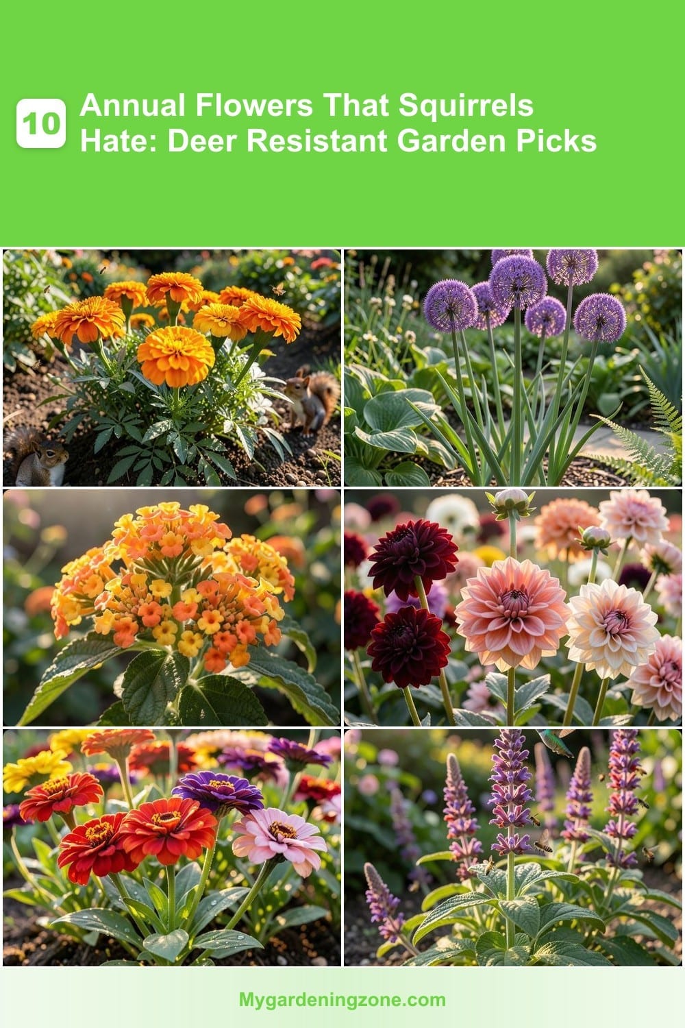 10 Annual Flowers That Squirrels Hate: Deer Resistant Garden Picks