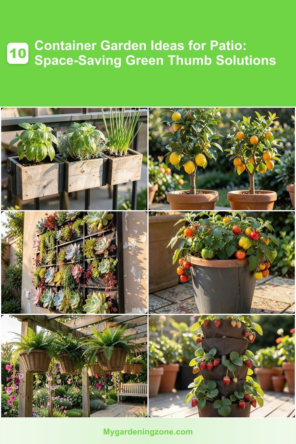10 Container Garden Ideas for Patio: Space-Saving Green Thumb Solutions 10 Container Garden Ideas for Patio: Space-Saving Green Thumb Solutions