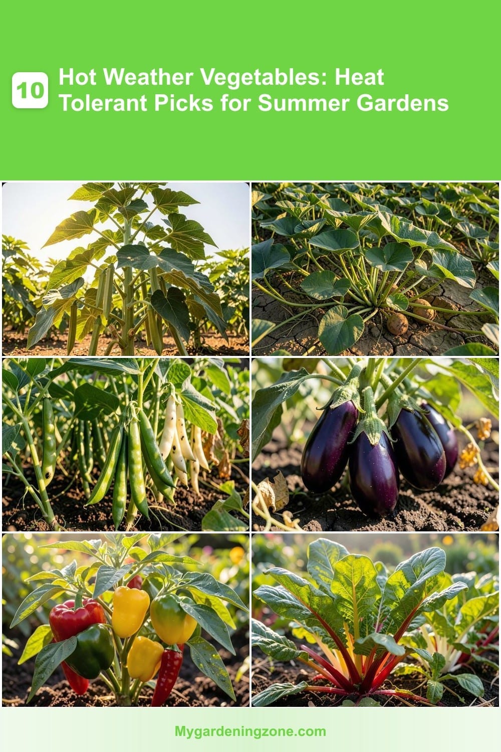 10 Hot Weather Vegetables: Heat Tolerant Picks for Summer Gardens 10 Hot Weather Vegetables: Heat Tolerant Picks for Summer Gardens