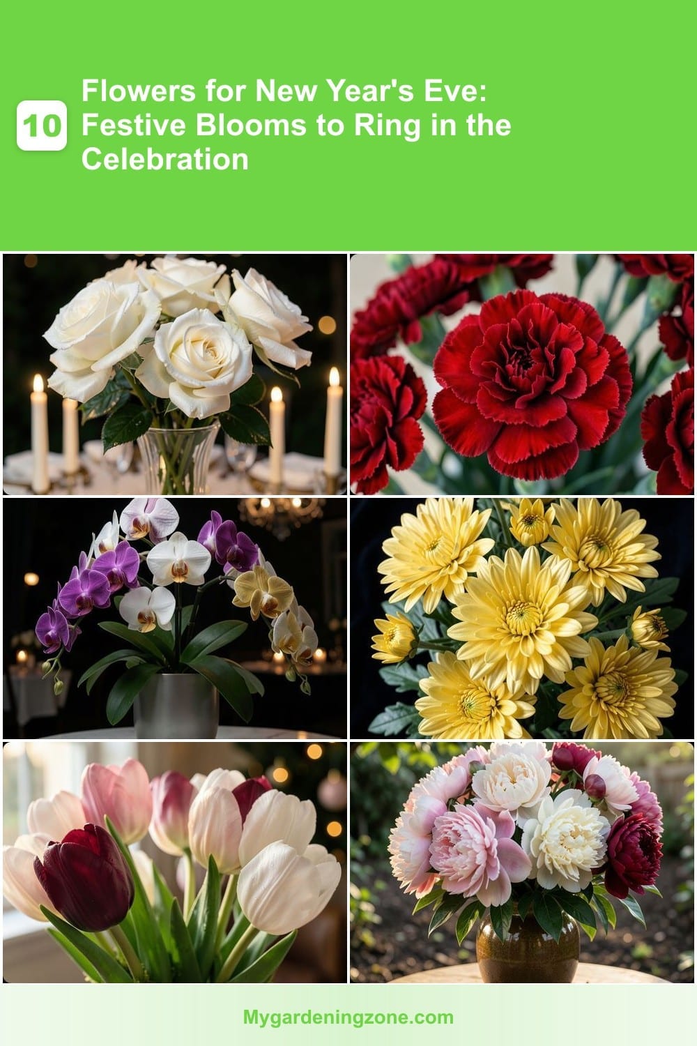 10 Flowers for New Year's Eve: Festive Blooms to Ring in the Celebration