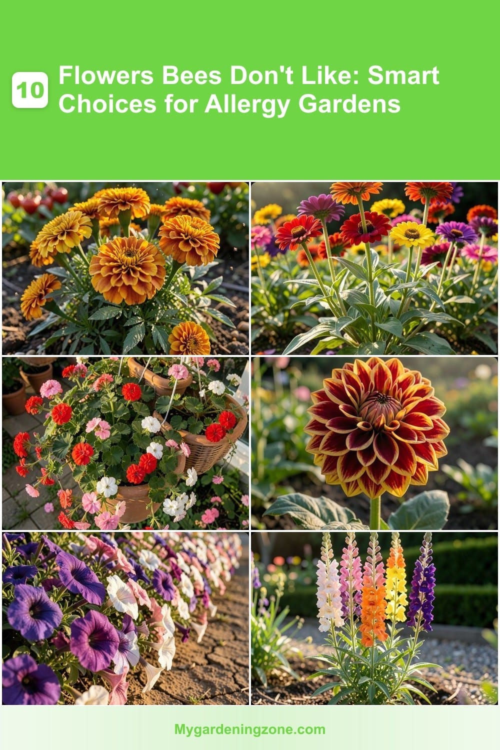 10 Flowers Bees Don't Like: Smart Choices for Allergy Gardens 10 Flowers Bees Don't Like: Smart Choices for Allergy Gardens