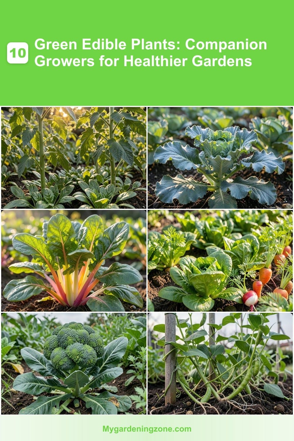 10 Green Edible Plants: Companion Growers for Healthier Gardens 10 Green Edible Plants: Companion Growers for Healthier Gardens