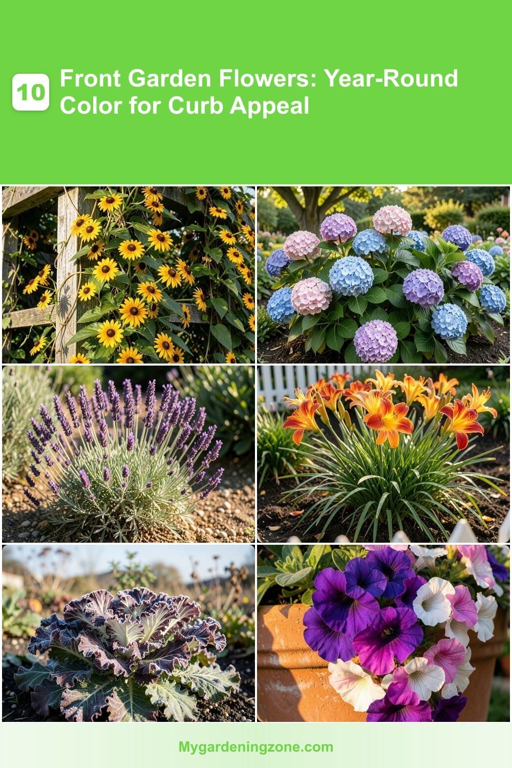 10 Front Garden Flowers: Year-Round Color for Curb Appeal 10 Front Garden Flowers: Year-Round Color for Curb Appeal