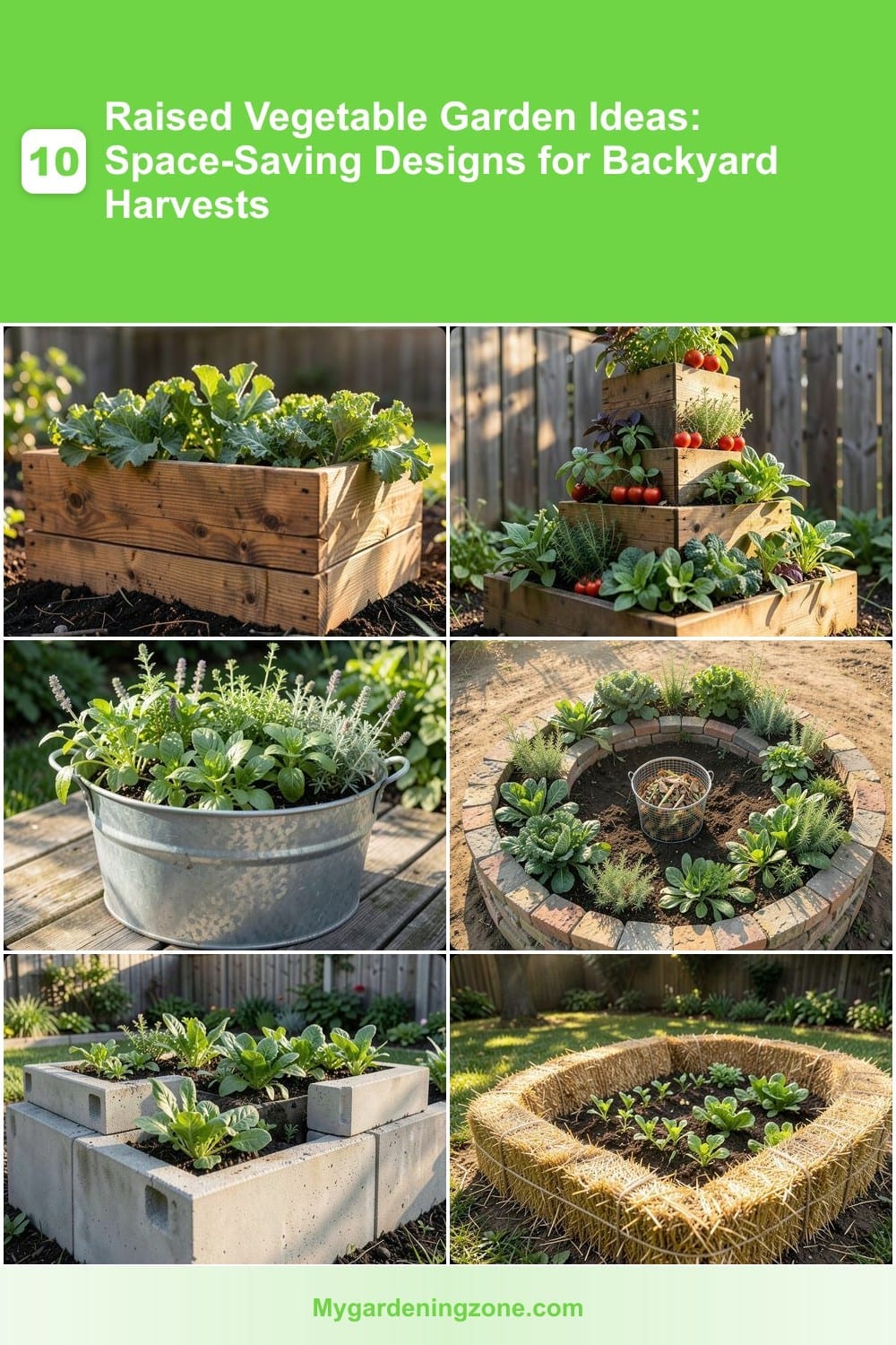 10 Raised Vegetable Garden Ideas: Space-Saving Designs for Backyard Harvests 10 Raised Vegetable Garden Ideas: Space-Saving Designs for Backyard Harvests