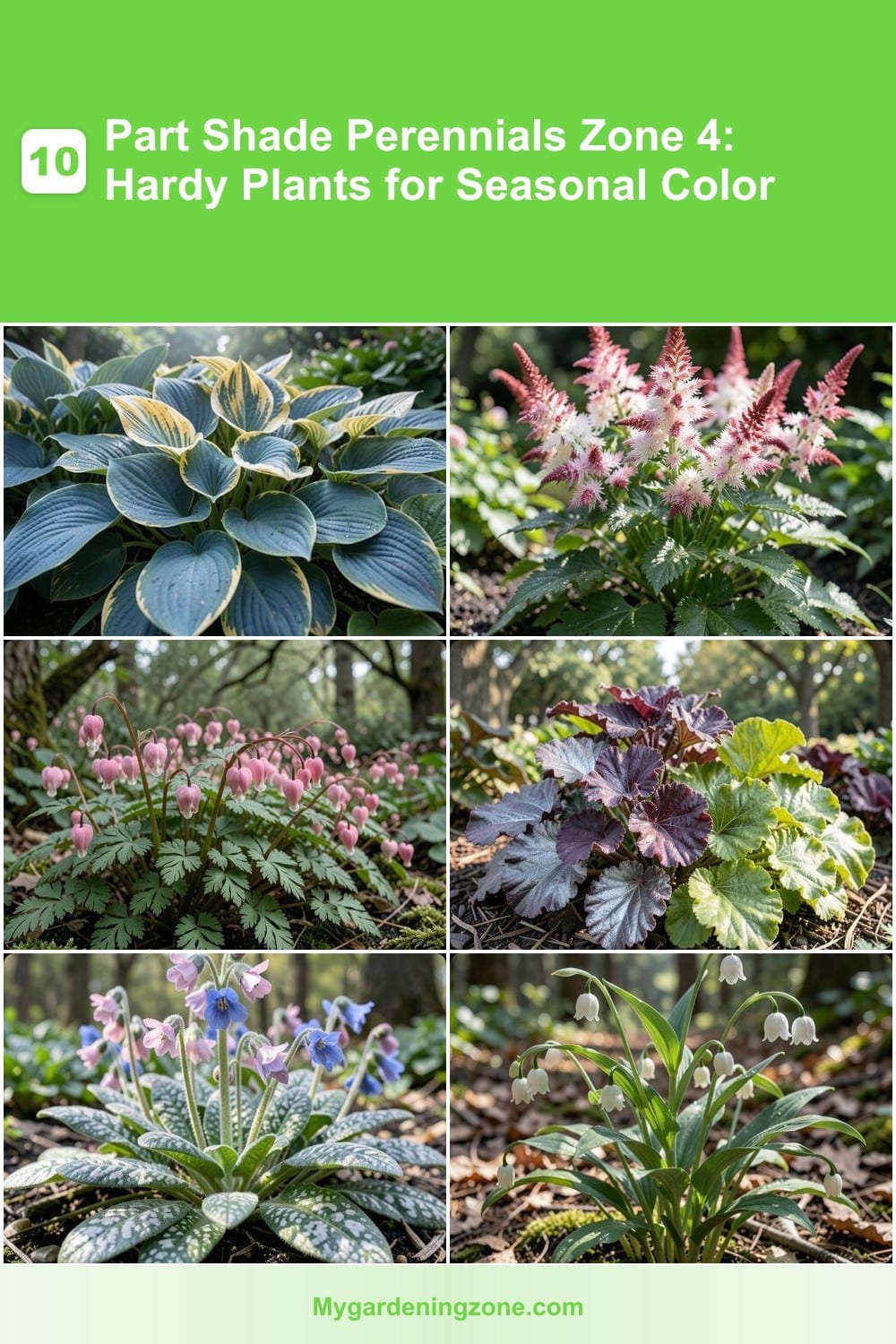10 Part Shade Perennials Zone 4: Hardy Plants for Seasonal Color 10 Part Shade Perennials Zone 4: Hardy Plants for Seasonal Color