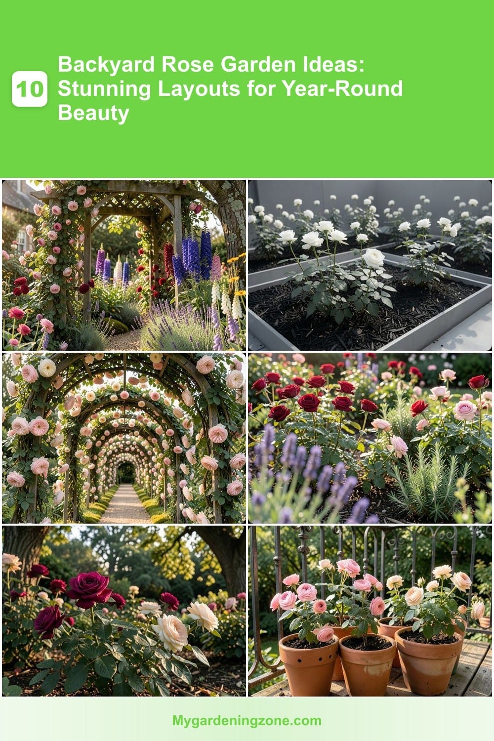 10 Backyard Rose Garden Ideas: Stunning Layouts for Year-Round Beauty 10 Backyard Rose Garden Ideas: Stunning Layouts for Year-Round Beauty