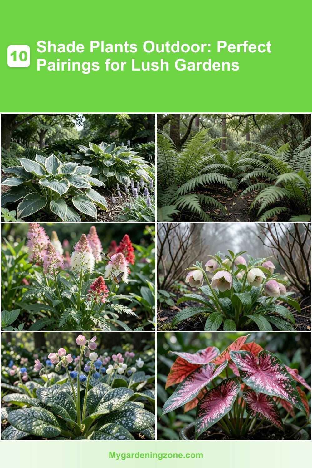 10 Shade Plants Outdoor: Perfect Pairings for Lush Gardens