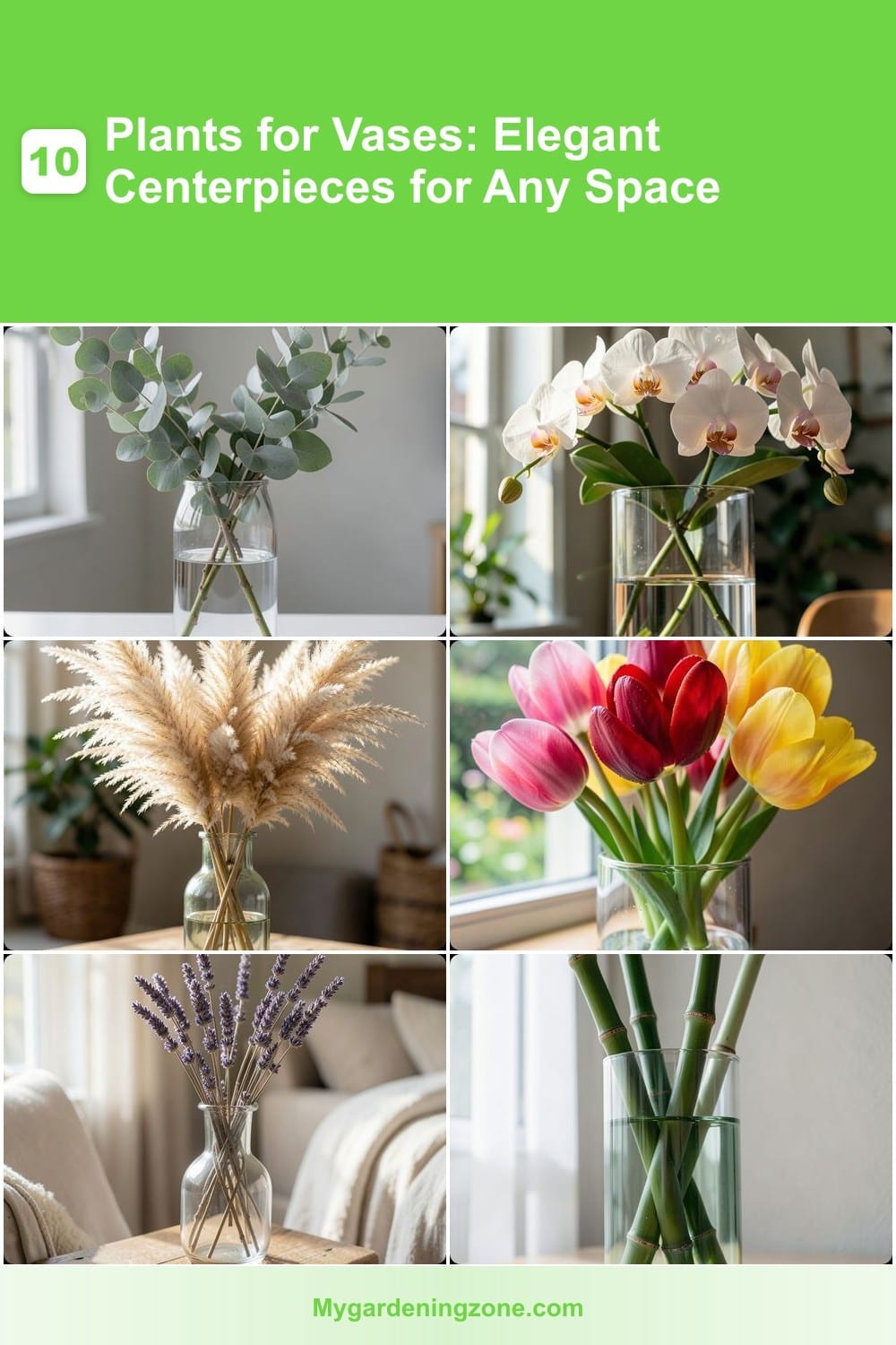 10 Plants for Vases: Elegant Centerpieces for Any Space 10 Plants for Vases: Elegant Centerpieces for Any Space