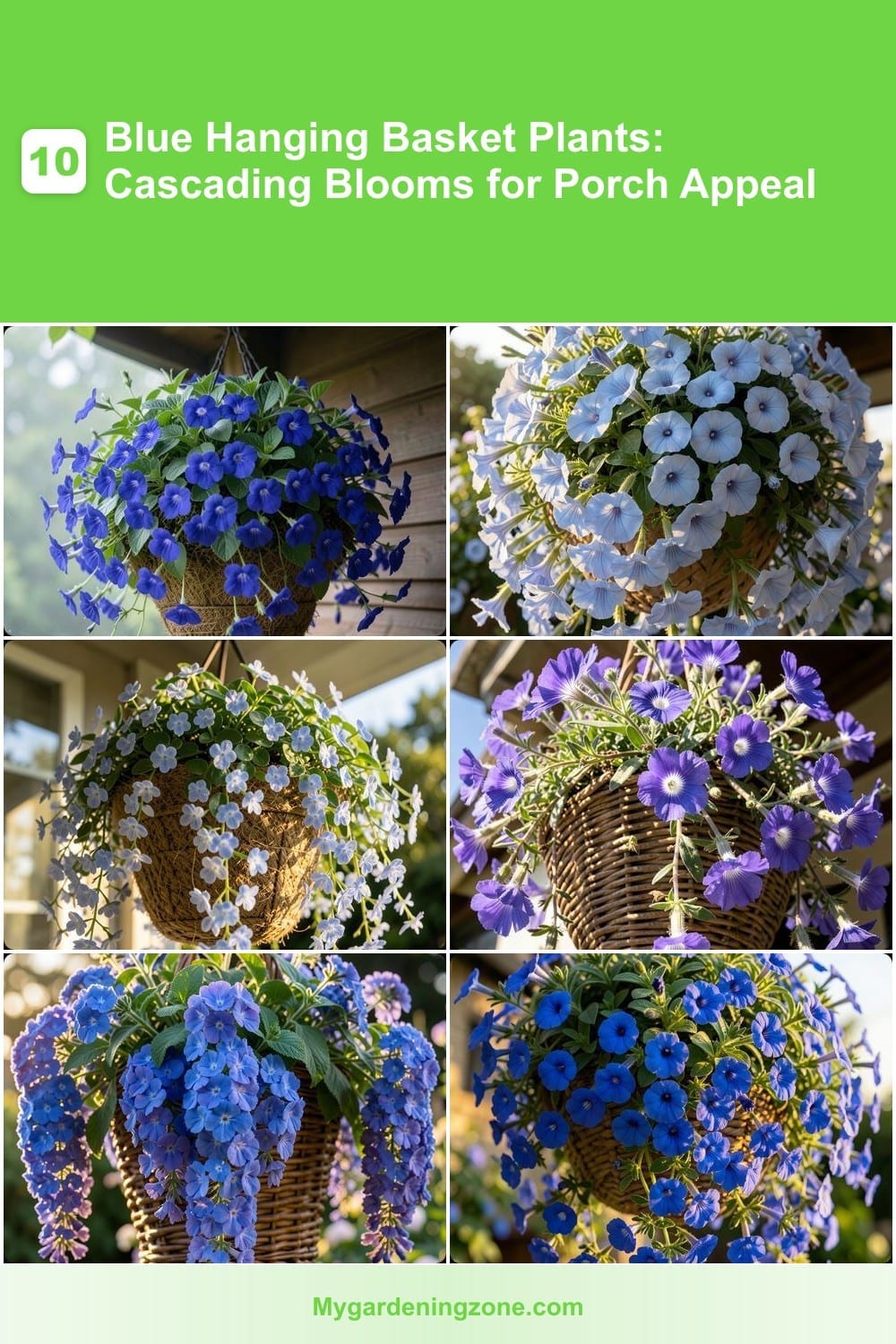 10 Blue Hanging Basket Plants: Cascading Blooms for Porch Appeal 10 Blue Hanging Basket Plants: Cascading Blooms for Porch Appeal