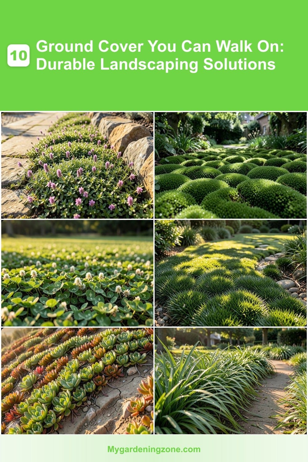 10 Ground Cover You Can Walk On: Durable Landscaping Solutions