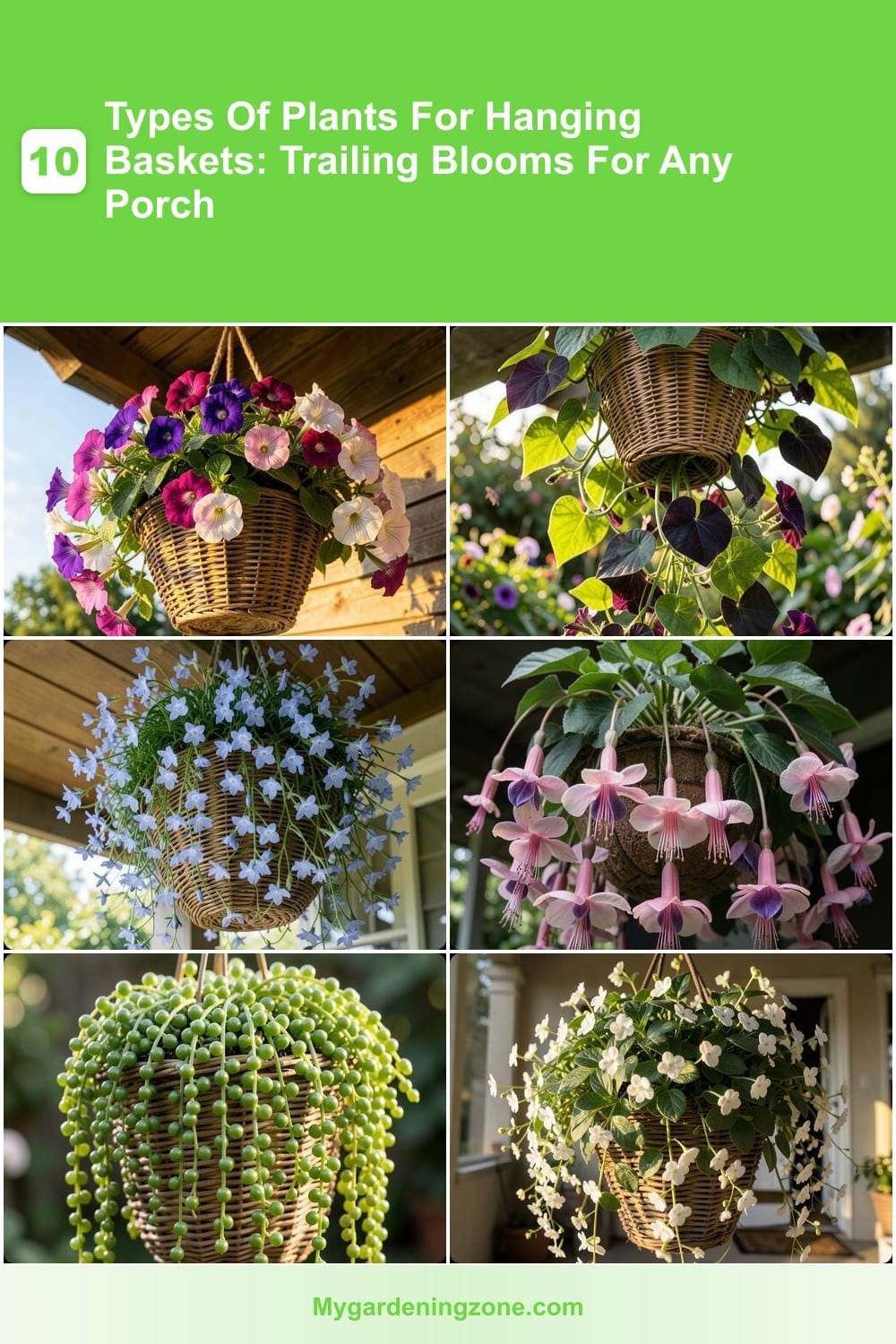 10 Types Of Plants For Hanging Baskets: Trailing Blooms For Any Porch 10 Types Of Plants For Hanging Baskets: Trailing Blooms For Any Porch