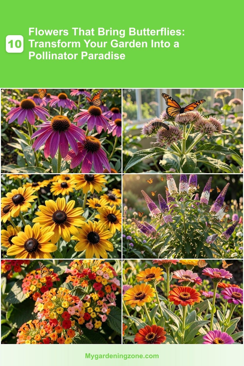 10 Flowers That Bring Butterflies: Transform Your Garden Into a Pollinator Paradise