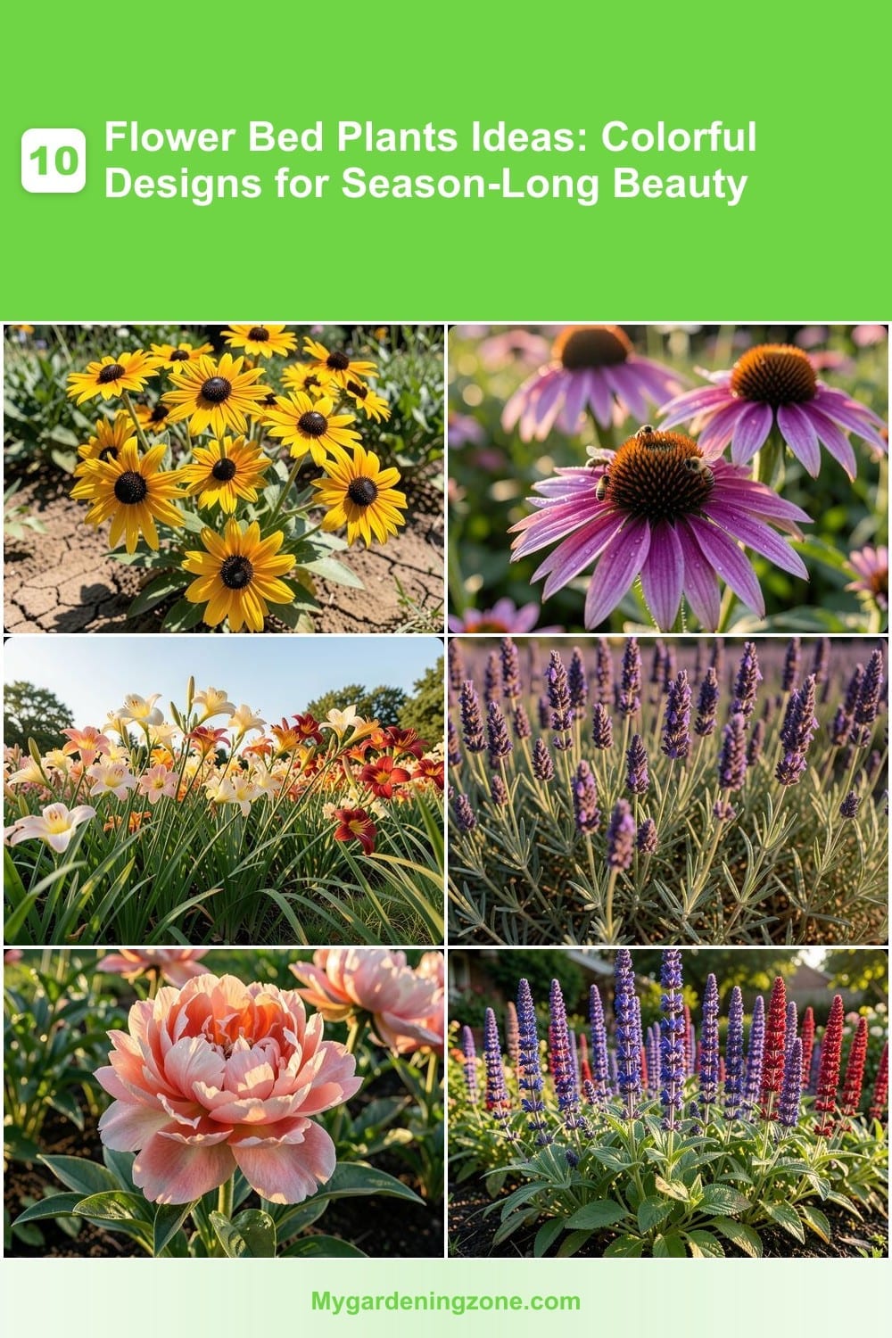 10 Flower Bed Plants Ideas: Colorful Designs for Season-Long Beauty 10 Flower Bed Plants Ideas: Colorful Designs for Season-Long Beauty