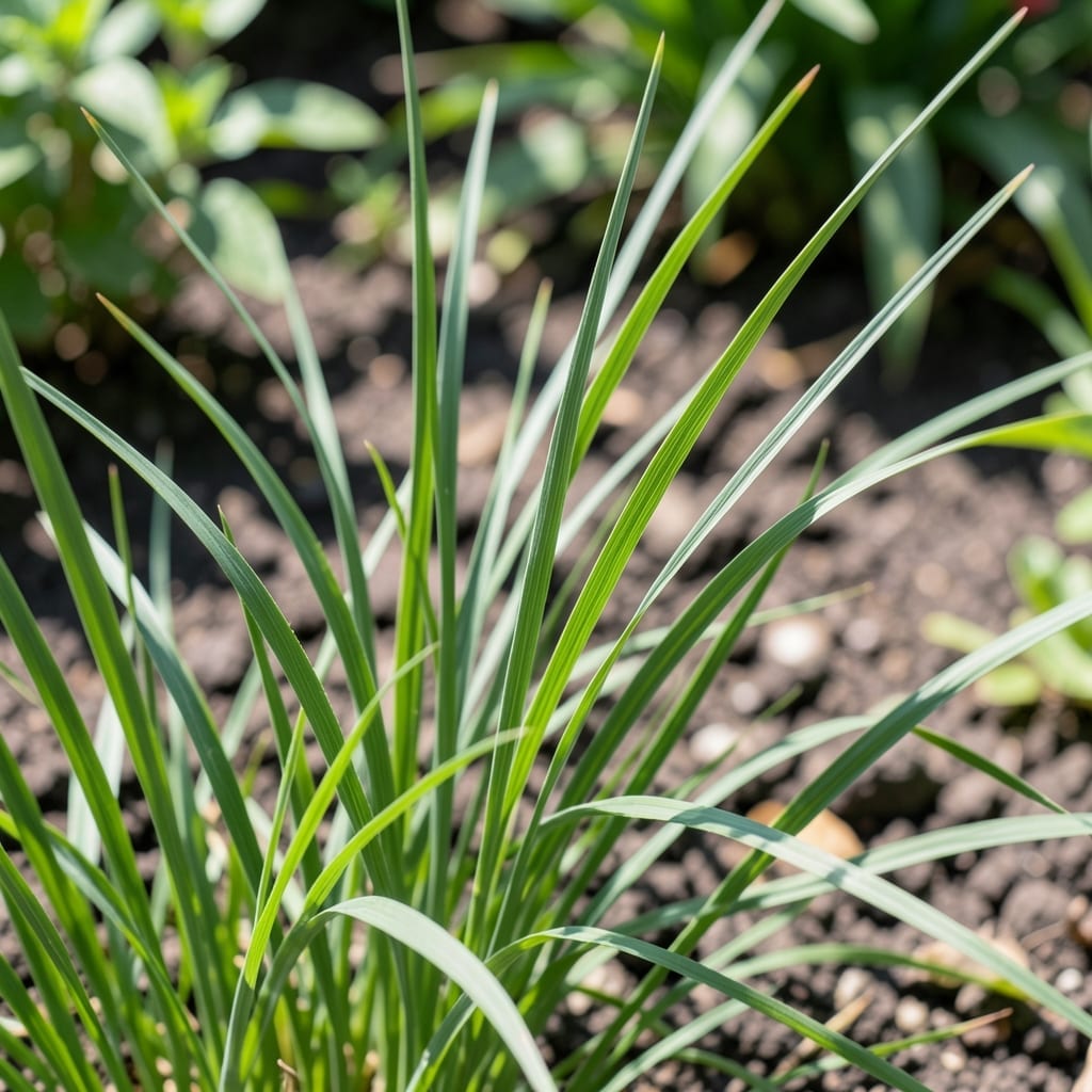 What Kills Mosquitoes Instantly: Natural Solutions for Backyard Relief