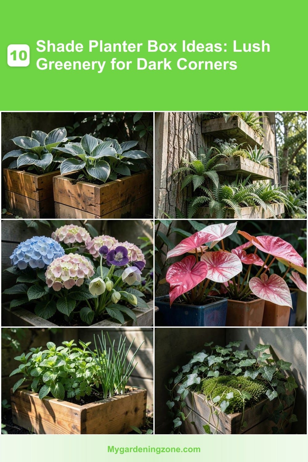 10 Shade Planter Box Ideas: Lush Greenery for Dark Corners 10 Shade Planter Box Ideas: Lush Greenery for Dark Corners