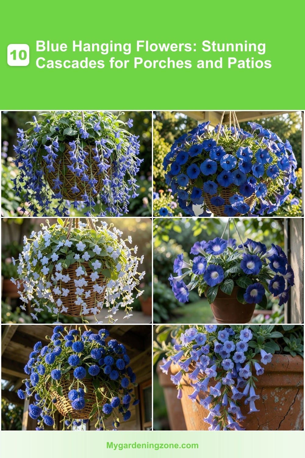 10 Blue Hanging Flowers: Stunning Cascades for Porches and Patios 10 Blue Hanging Flowers: Stunning Cascades for Porches and Patios