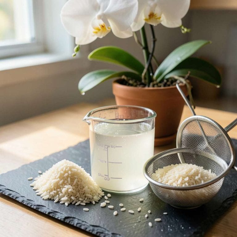 Rice Water for Orchids: The Secret to Lush Blooms and Faster Growth