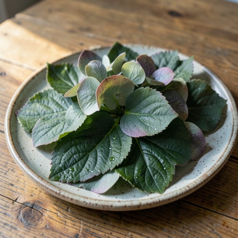 Hydrangea Leaves Curling Up: Early Signs and Restoration Tips