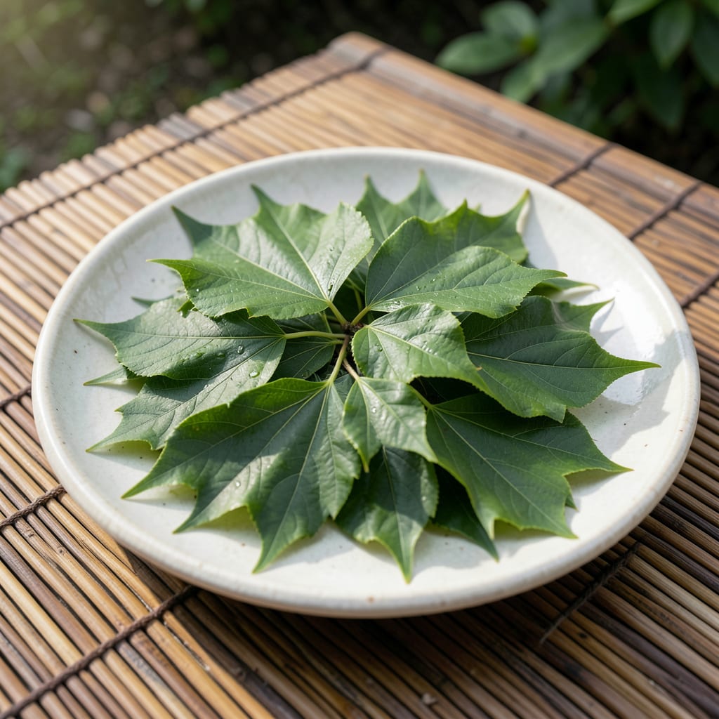 Japanese Elm Tree Leaves: Distinctive Serration and Autumn Color Guide example with annotations