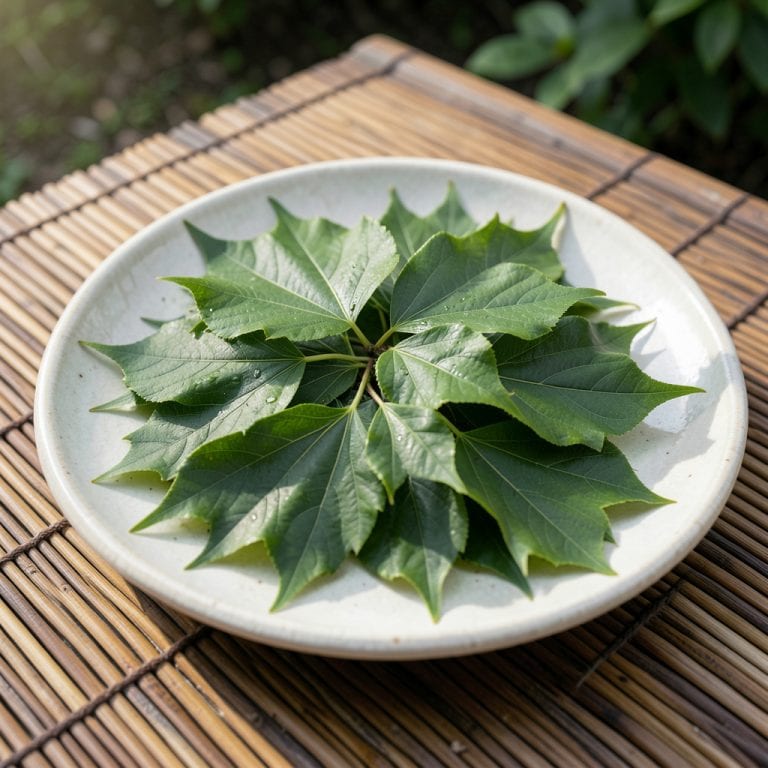 Japanese Elm Tree Leaves: Distinctive Serration and Autumn Color Guide