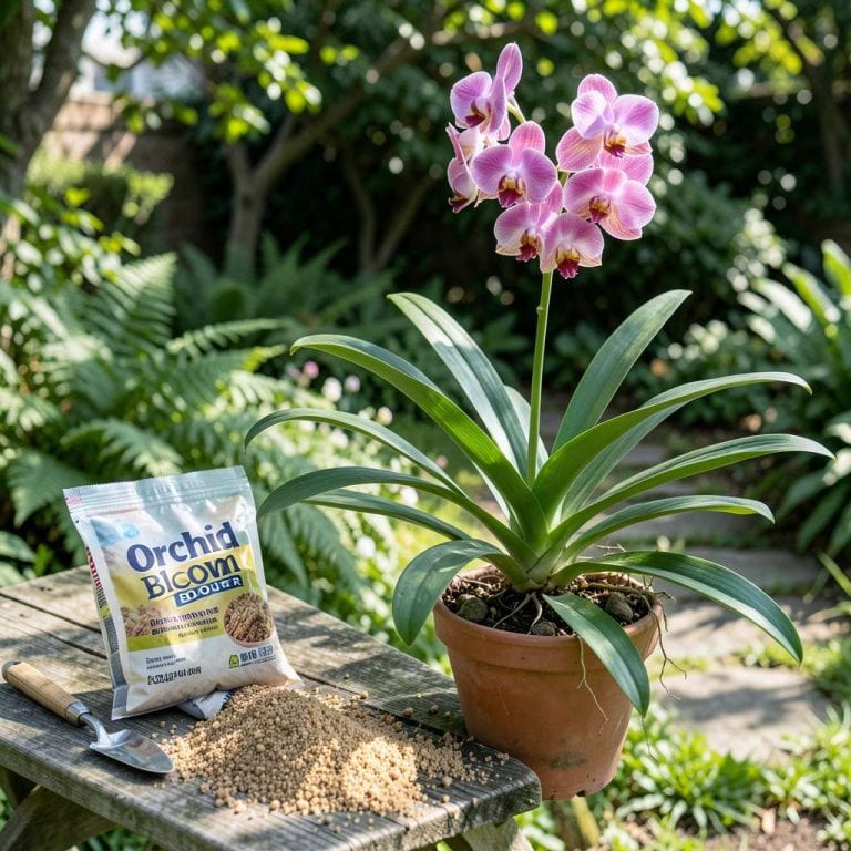 When to Fertilize Outdoor Orchids: Expert Tips for Healthy Growth
